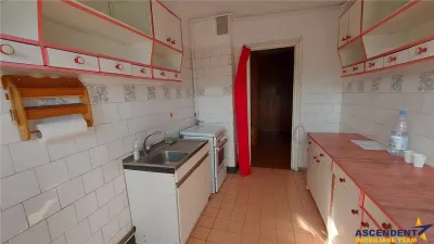 Compozitie frumoasa si luminoasa, pe 90 mp, Dambu Pietros,Targu Mures - foto 18