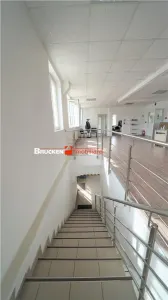Oportunitate de investitie | Hala Parc Industrial 1 - foto 10