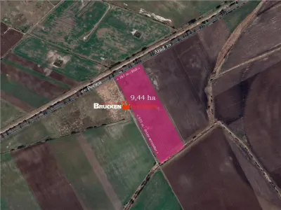 TEREN CU POTENTIAL INDUSTRIAL/ SERVICII | 9,44 HA | ARAD, PECICA - Pecica