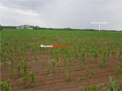 TEREN CU POTENTIAL INDUSTRIAL | 4,35 HA | ARAD, ZADARENI - foto 7