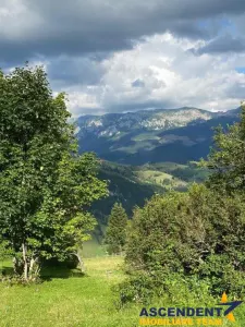 8.000 mp teren, Fundata - Fundata