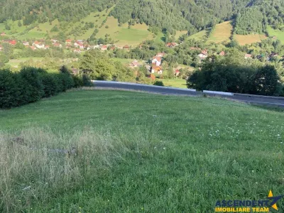 5.000 mp teren, front la strada principala, vedere panoramica, Moieciu, Brasov - foto 11