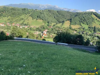 5.000 mp teren, front la strada principala, vedere panoramica, Moieciu, Brasov - foto 6