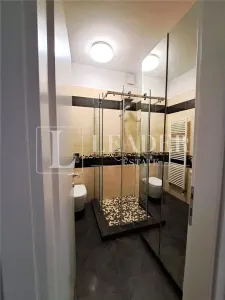 Inchiriere apartament I Herastrau - foto 9