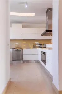 Duplex modern cu 3 camere de vanzare - Herastrau - foto 9