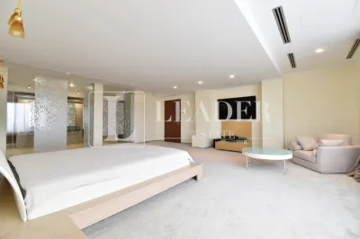 Penthouse spectaculos I Herastrau - foto 19