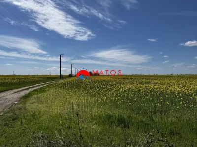 Teren de vanzare in Baicoi – DN1 | 5.000 mp - foto 3