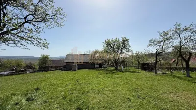 Teren intravilan, 1 ha, Unguras - foto 2