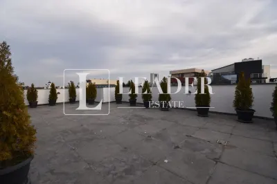 Inchiriere apartament I Domenii - Casin - foto 17