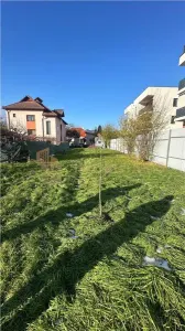 Teren intravilan 1097 mp + Anexe, zona Reconstructiei - Baia Mare