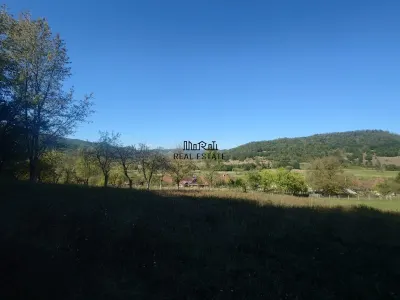 5,6 ha terenuri si padure in Criscior - foto 3