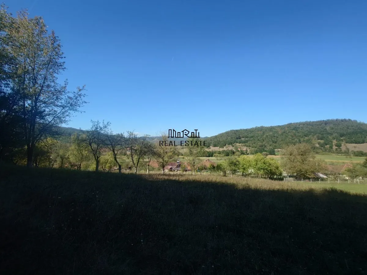 5,6 ha terenuri si padure in Criscior - foto 3