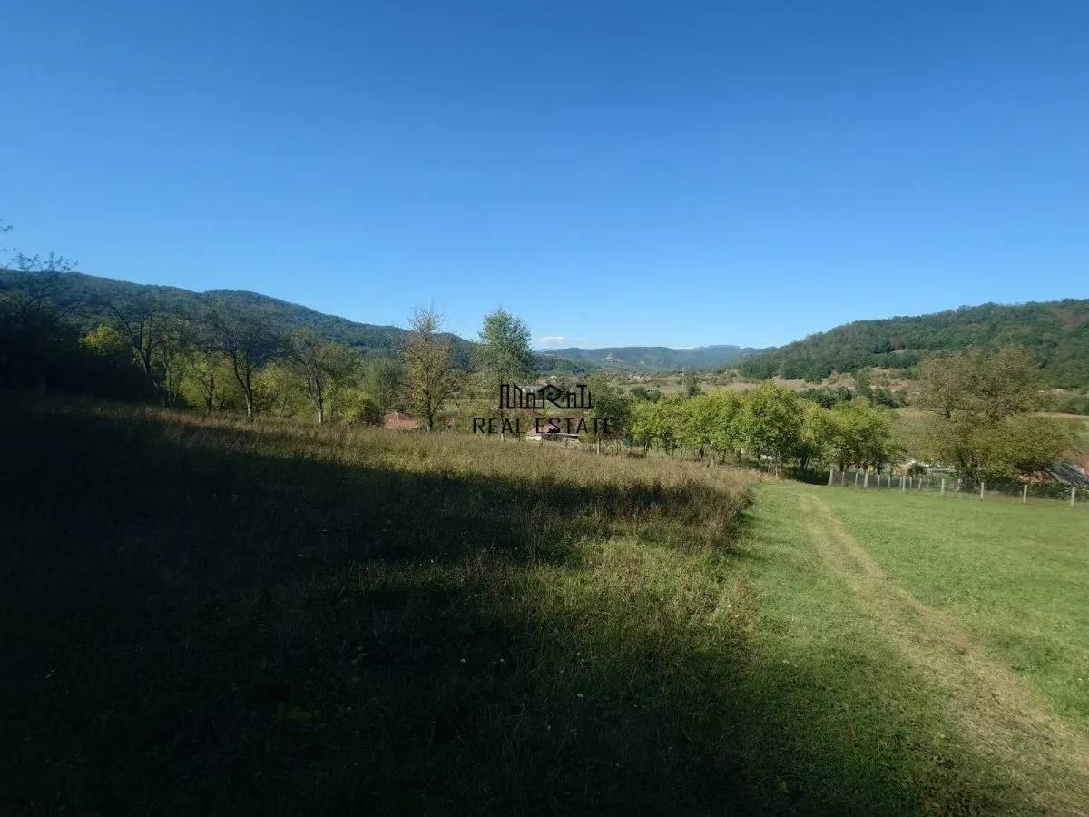 5,6 ha terenuri si padure in Criscior - foto 5