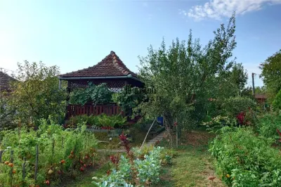 Casa cu Gradina, Parc si Priveliste in Brad, Jd. Hd - foto 6