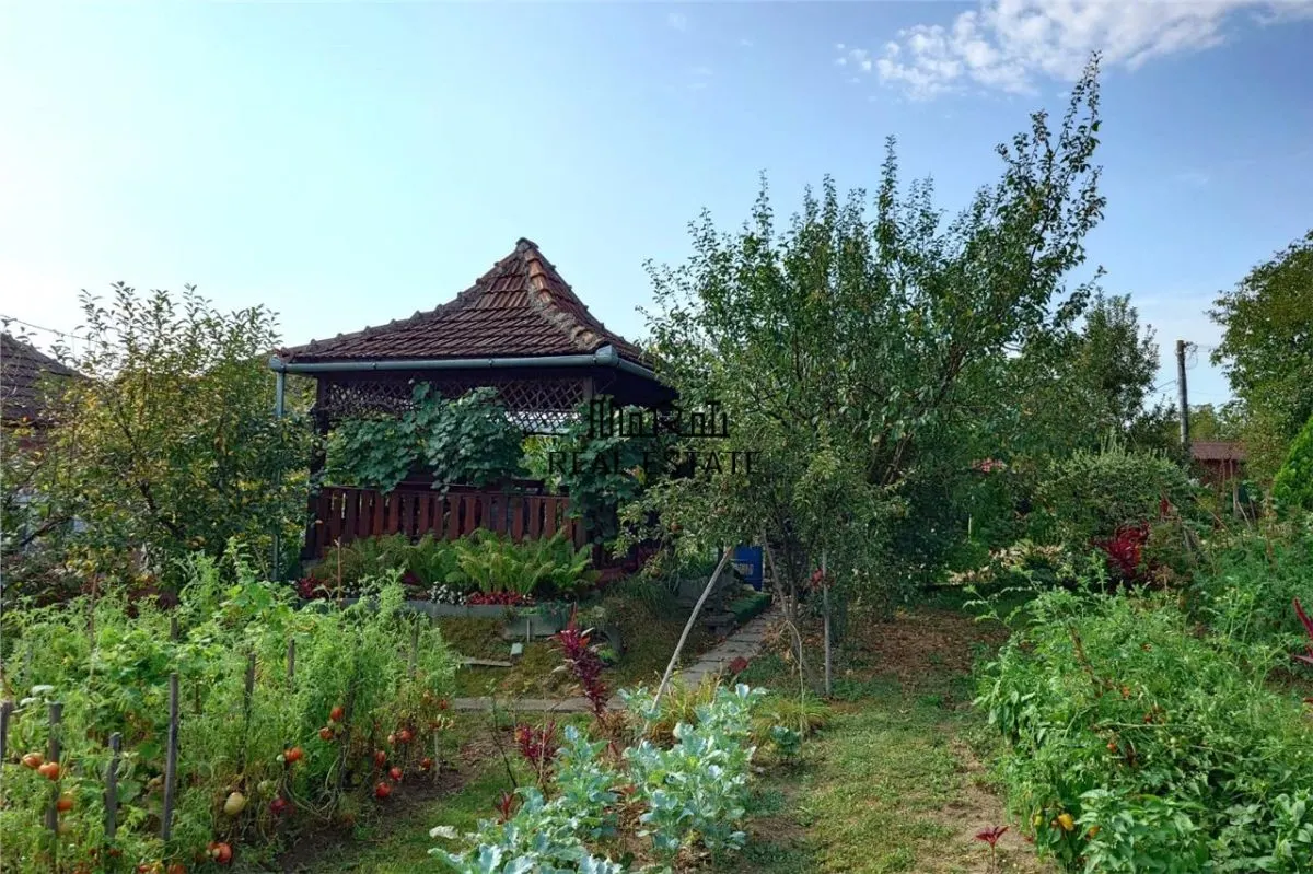Casa cu Gradina, Parc si Priveliste in Brad, Jd. Hd - foto 6