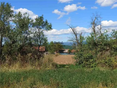 Teren intravilan pentru casa sau vacanta, Lunca, Baia de Cris - foto 5