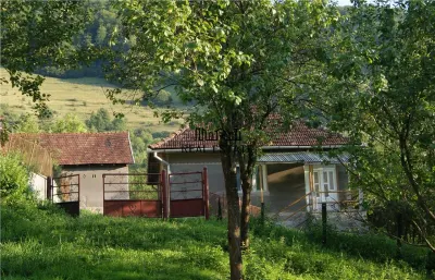 10 hectare teren plus casa la munte in Buces, Hunedoara - Buces