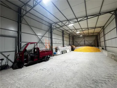 Hala Industriala zona Pietroasele - foto 5
