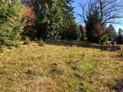 Teren superb extravilan in apropiere de Poiana Brasov - foto 5