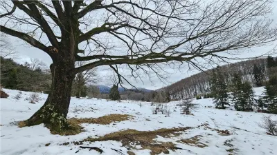 Teren superb extravilan in apropiere de Poiana Brasov - foto 10