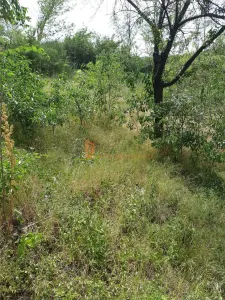 Teren intravilan zona Zarnesti - foto 2