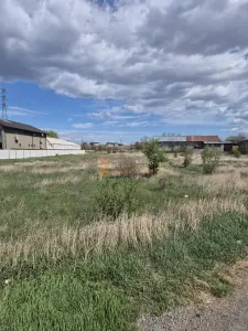Terenuri alipite intravilane zona Brosteni ,Tarlaua 33 - foto 2