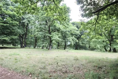 Teren de vanzare 4713 mp investitie | Poiana Brasov - foto 8