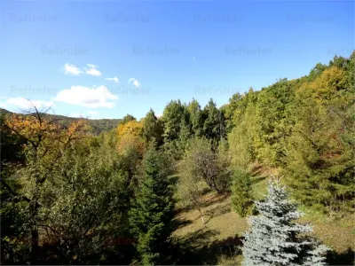 Vanzare vila Valenii de Munte - Drajna de Sus, judet Prahova - foto 17