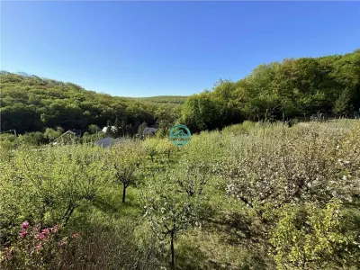 Vand teren intravilan, 2566 mp in Corunca situat intr-o zona linistita si intima - foto 9