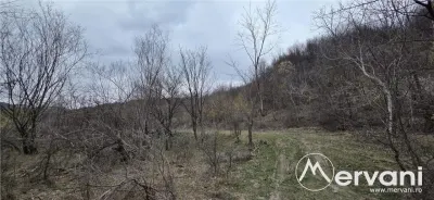 Teren de vanzare in Brebu - foto 6