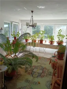 DE VANZARE VILA, CENTRAL, BRLAD - foto 14