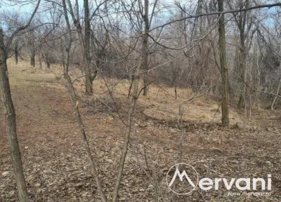 Teren de vanzare in Cornu - foto 4