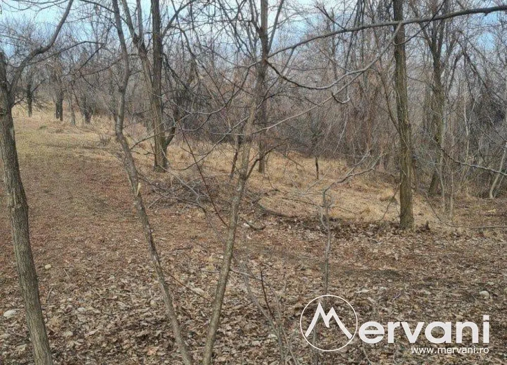 Teren de vanzare in Cornu - foto 4