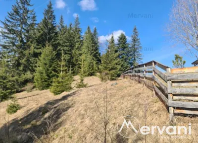 Teren de vanzare in Predeal - Zona Forban - Rasnov