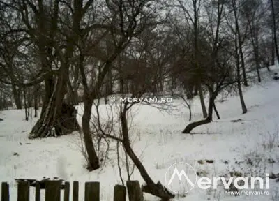 Teren de vanzare in Breaza (zona Clubul de Golf) - Breaza