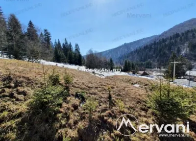 Teren de vanzare in Predeal (zona Malul Ursului) - foto 10