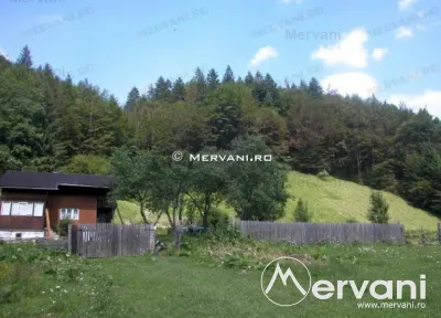 Teren de vanzare in Azuga (zona Semicentrala) - foto 5