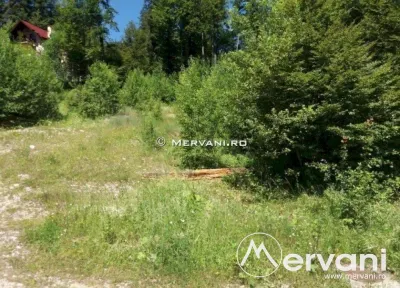 Teren Intravilan de Vanzare Sinaia - foto 4