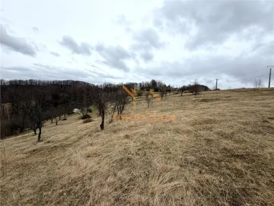TEREN 34.000 MP | SERANI BIHOR - foto 6