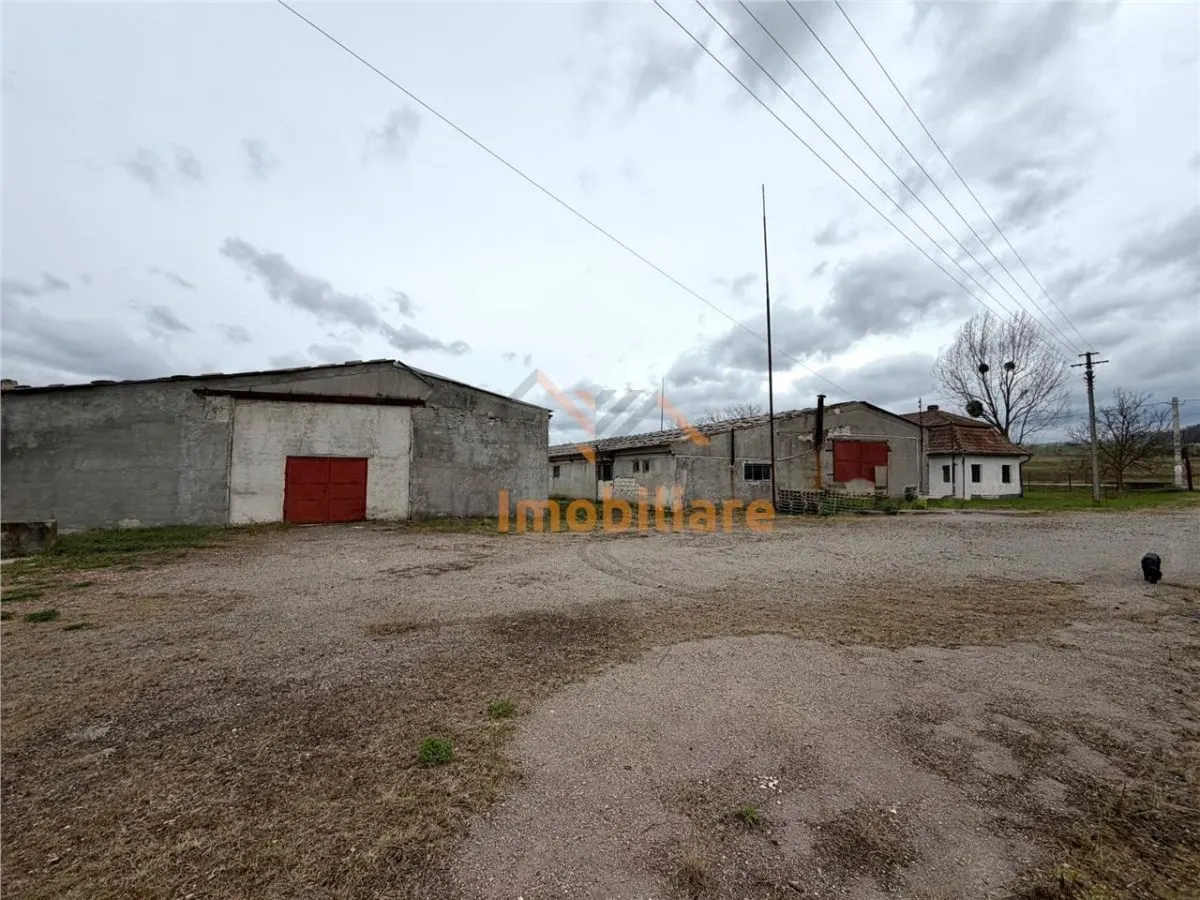 HALE INDUSTRIALE | CLADIRE BIROURI | TEREN 7000 MP | GHEGHIE BIHOR - foto 1