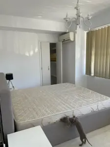 Apartament 2 camere Podul de Fier - foto 2