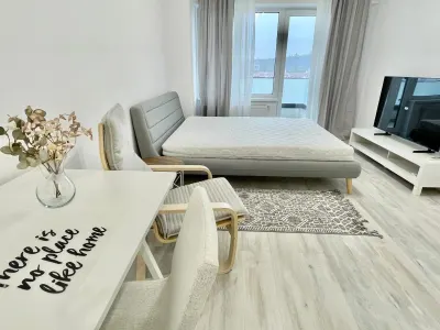 1 CAM CENTRU PALAS , PARCARE,PRIMA INCHIRIERE UNIREA TOWERS DEC - 430EUR - foto 2