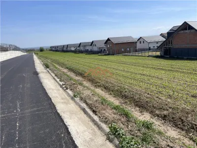 De vanzare | Teren Moara | 1000 -10.000mp - Moara
