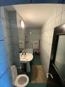 Inchiriere Garsoniera Tip Studio Timpuri Noi - Nerva Traian - foto 7