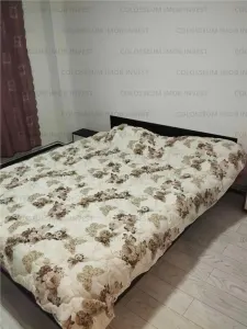 Apartament cu 2 camere, decomandat - Centrul Civic - foto 4