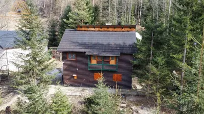 Cabana Vanatorului, sursa de apa, lemne, parau pe proprietate, fantana - Molid