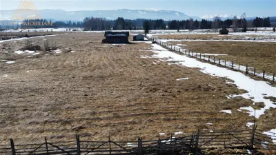 Teren Sarul Dornei 1.5 hectare Curent,  apa curenta, drum de acces - foto 8