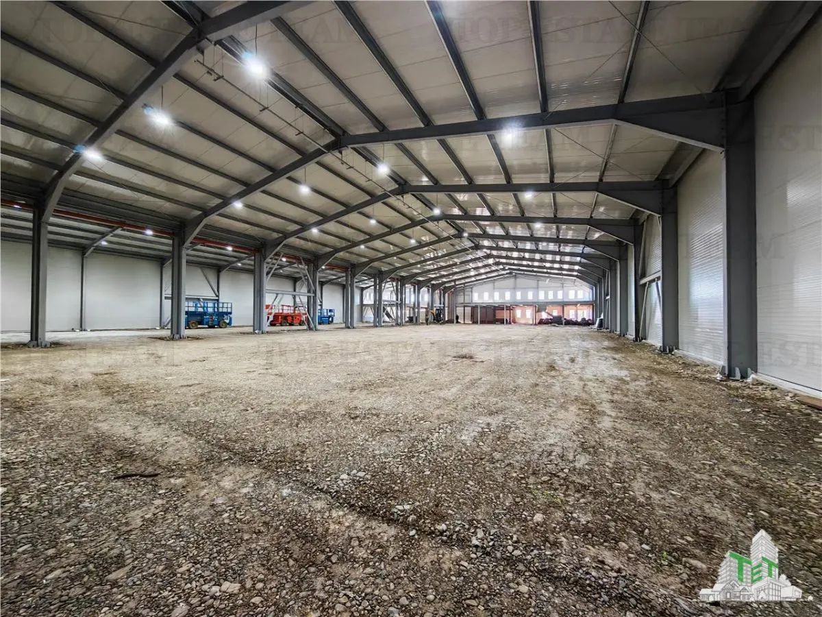 Hala Industriala Balotesti - Spatiu Generos si Accesibilitate Excelenta - foto 10