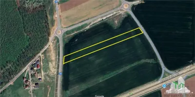 Vanzare teren intravilan construibil, Branesti-Ilfov, 5100 mp, ideal rezidenta sau investitie, scadere de pret. - Branesti