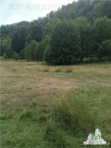 Teren intravilan - Berevoiesti - Arges - foto 5